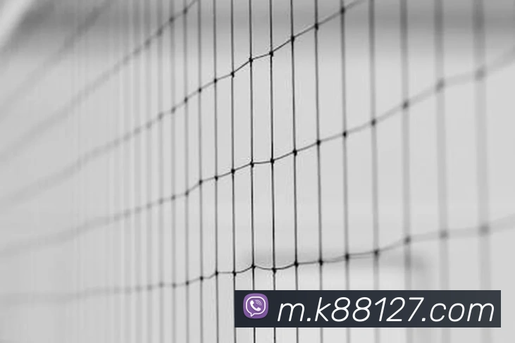 k8凯发天生赢家官网APP 高清赛事图